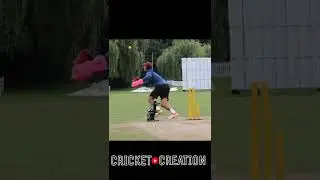 Wicketkeeper agility catching 🙌