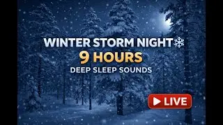 LIVE: Winter Storm Night ❄️ | 9 Hours of Deep Sleep Sounds (Snowfall & Wind)