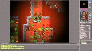 Tibia [7.3] Hunting at Edron Orcs and selling loot old school style