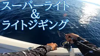 2025年7月釣行④　SLJ、ライトジギング