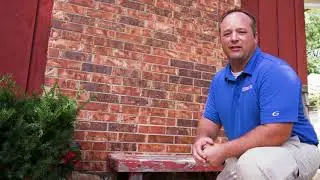 Termite Inspection Tips: The Garden