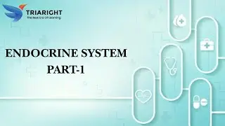 ENDOCRINE SYSTEM PART-1 - MEDICAL CODING