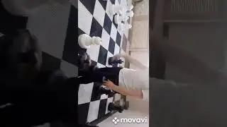 # История 📜📖 Я не понимаю что они такие Агро