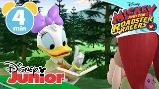 Topolino e gli Amici del Rally | Le aiutanti entusiaste