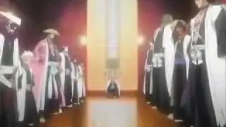 ichigo & capitanes vs aizen & espadas