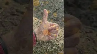 2 Method to grow mariegold flowers at home for free🌼🌿#short #gardening #reach #shortfeed #planthacks