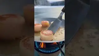 Snow-Sear Butter Scallops ❄️🔥