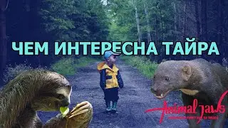 Когда тайра нападает