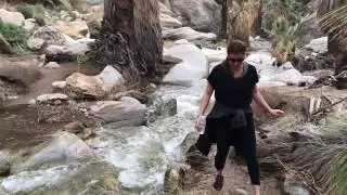 Murray  Canyon Day Hike After 1