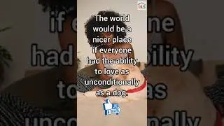 3 Quotes That Every Dog Lover Can Relate To - This Made Me Cry ꞁ Dog Lovers Can Relate #shorts 🐾🐾🐾