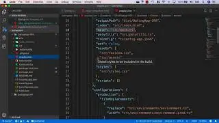 18  Adding Bootstrap and Font Awesome to our Angular app
