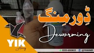 How To Deworm Lovebirds ||Deworming of Birds ||Vetafarm Wormout Gel ||Complete Information||