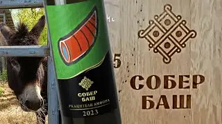 Винодельня Собер Баш и Ркацители Амфора 2023