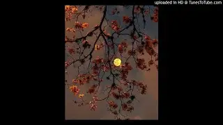 *FREE* SNOT TYPE BEAT 