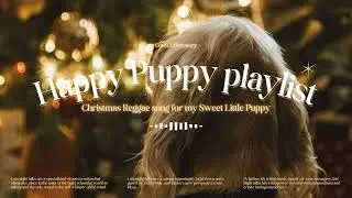 Dog Relaxing Reggae Christmas 🎄 Calm, Cozy & Stress-Free Music
