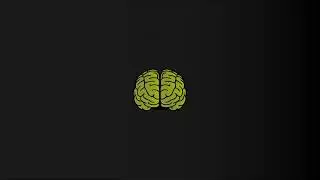 Mental Weight | Explainer Video