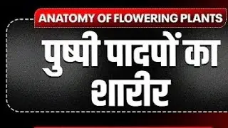 Anatomy of flowering plants practice session #neet2026 #hindimediumbiology 