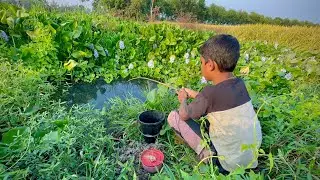 Amazing Fishing Video 🎣🐟 Fishing With Hook Catching Koi Fish Hunting in the village Deep Field Pond