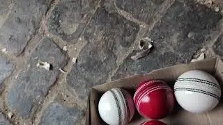 Call. 8077685033, Leather ball available , 40 over Plus , price Red ball, white ball.