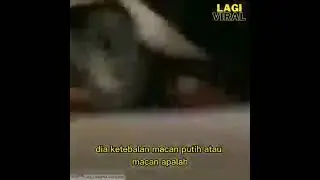 akhirnya terungkap sosok sang musyafir Joko kendil