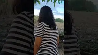 2025 laag sa maraymay bukidnon