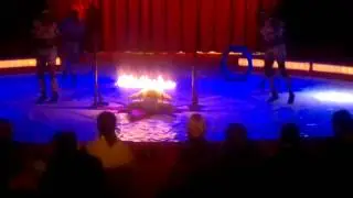 ( MALTY TALENTED ) AFRO JUNGLE JEEGS ACROBATS a.k.a ZUMA-ZUMA ACROBTAS.mp4