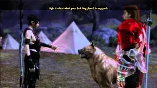 Dragon Age Origins: All Dog Conversations At Camp