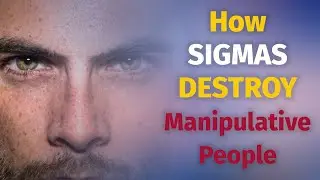 Unveiling the Power of Sigma Males: How They 
