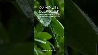60-Minute Yoga Nidra Guided Meditation: Rainshower Serenity Meditation for Deep Sleep