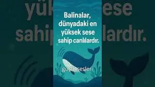 Mavi Balina 180 Desibel Ses &Ccedil;ıkarabilir! 🐋💥