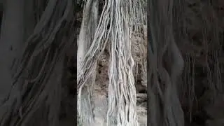 Shah Allah ditta Caves  / Pakistan Historical Places  / Pakistan beautiful places (P07/26)