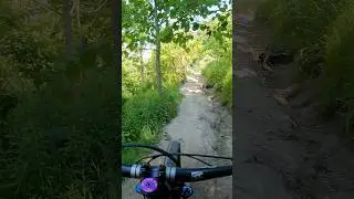 Steep Technical climb 🥵😤 #mtb #shortvideo #steep #tech #climb