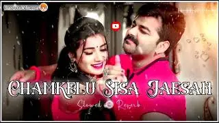 Chamkelu Sisa Jaesan | Lofi | Slowed+Reverb | Pawan Singh | New Bhojpuri Song Lofi |