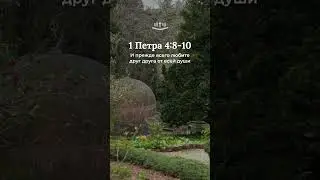 1 Петра 4:8-10 современный перевод Библии #shorts