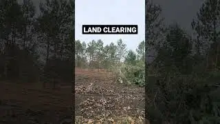 Land Clearing | before & after