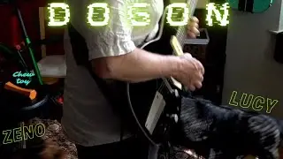 Space Prophet Dogon Autobahn In C