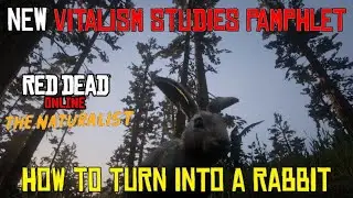 Red Dead Online New Vitalism Studies Pamphlet! How to Turn Into a Rabbit!