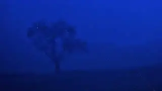 If it’s real, then I’ll stay (Slowed to Perfection)