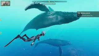 BEYOND BLUE | #1