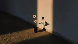 when the last spark of hope ignites