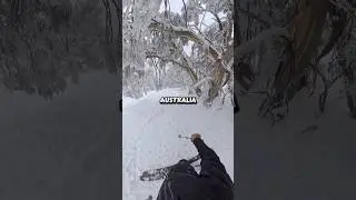 Have you skied in the Snow Gums? #ski #australia #mtbuller