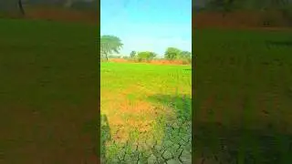 #farming | Satpal universe