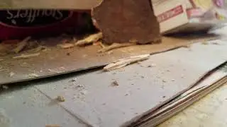 Hatsan Torpedo 150 .177 vs. 1 inch brick tile