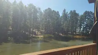 Pinetop-Lakeside Cabin
