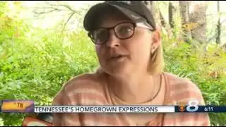 Homegrown expressions: East Tennessee speak explained