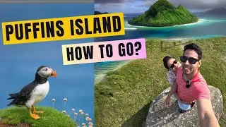 രണ്ടു വർഷത്തെ കാത്തിരുപ്പ് Our 2-Year Journey to the Saltee Islands | Adventure Vlog