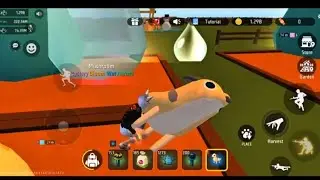 How to feed pet in free garden Craftland map 🗺️ free fire 🔥 new update pet 🐕 in free garden 🏡