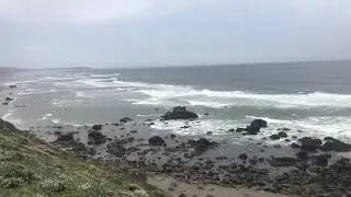 The beautiful views of the Sonoma Coast (near Bodega Bay, CA)