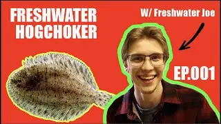 Freshwater flat fish 😱 Hogchoker (Trinectes maculatus) Ep. 001 of Fishy Facts with Freshwater Joe