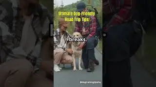 Your Ultimate Dog Friendly Road Trip Tips!
